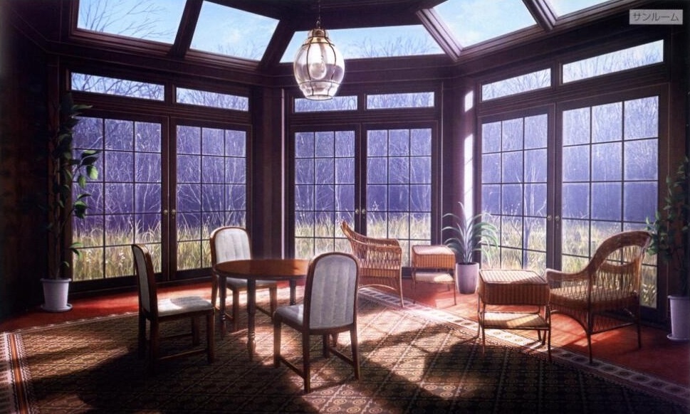 large picture of the cover